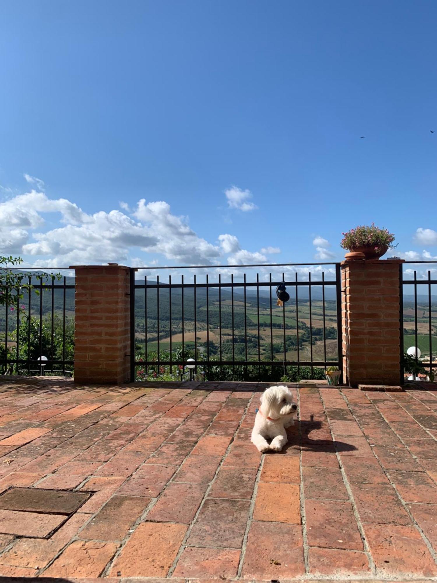 Casa Cerboneschi Bed & Breakfast กาซาเล มาริตติโม ภายนอก รูปภาพ
