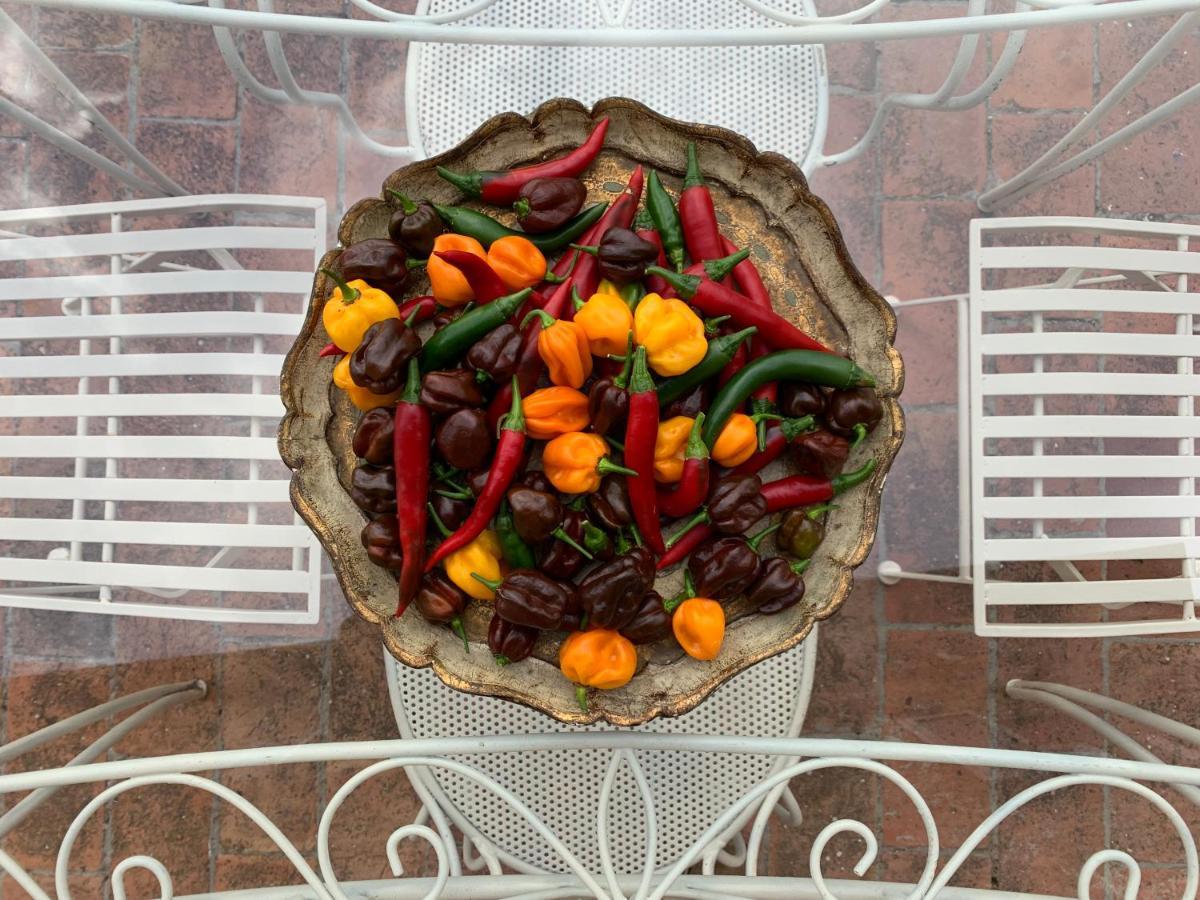 Casa Cerboneschi Bed & Breakfast กาซาเล มาริตติโม ภายนอก รูปภาพ